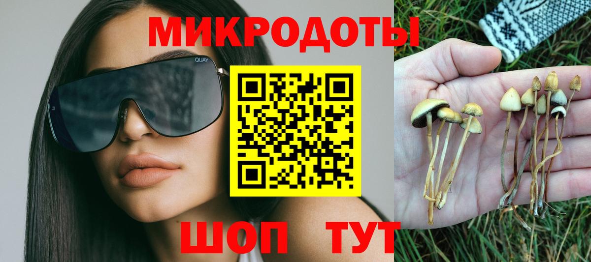 Галлюциногенные грибы GOLDEN TEACHER  Вход с VPN  Лесозаводск 